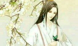 古风漫画推荐,探寻古风漫画的唯美世界